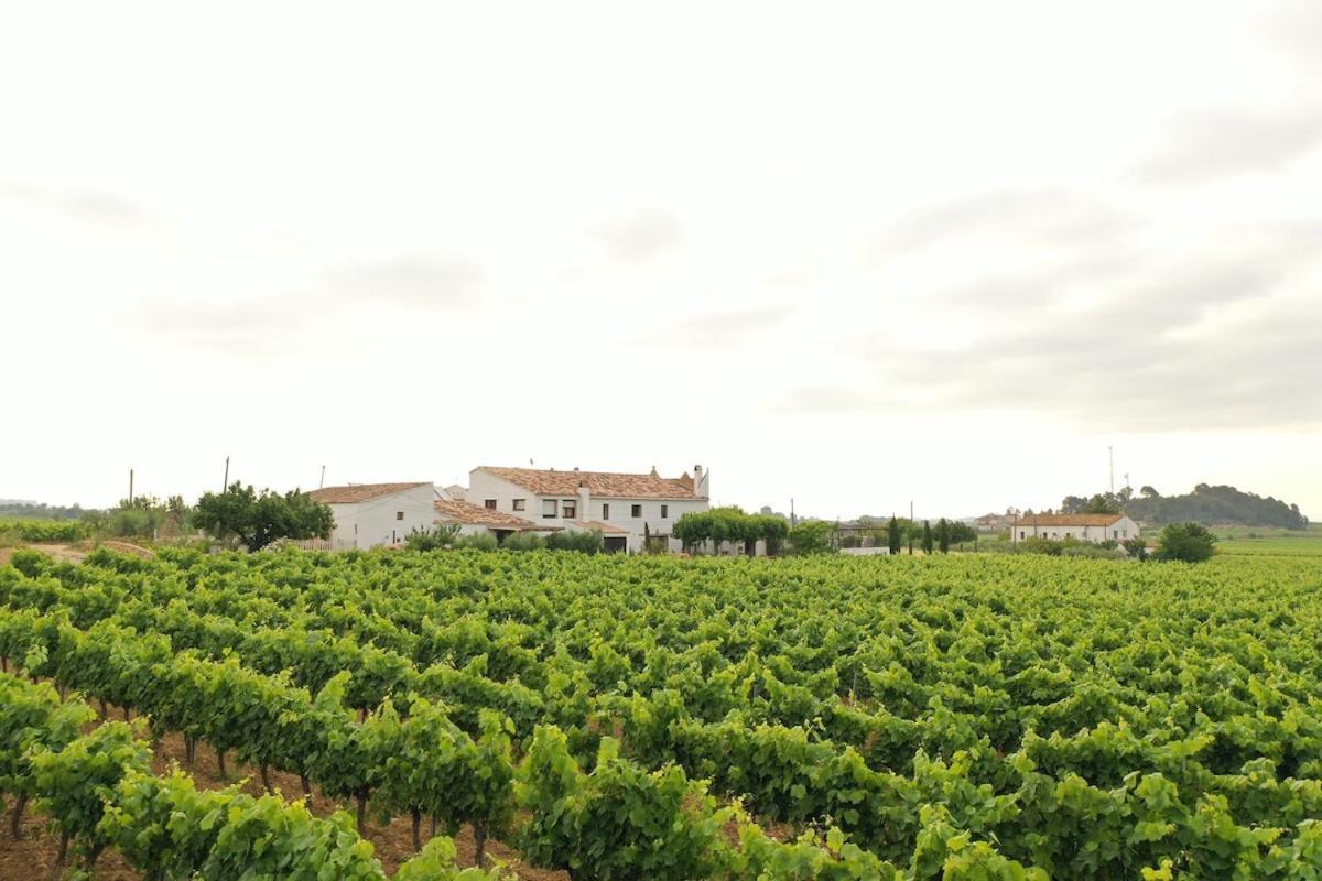 Soul Farm Mas Els Igols Villa Torrellas de Foix Exterior photo
